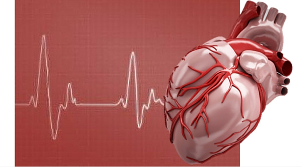 Renang Memperkuat Otot Kardiovaskuler, Benarkah Demikian?