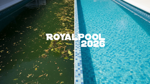 Cara mengatasi masalah air kolam renang hijau dan berlumut